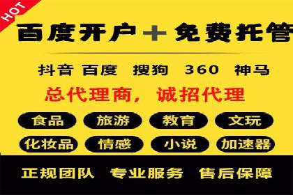 竞价推广公司经典案例：打造行业领先的广告投放效果